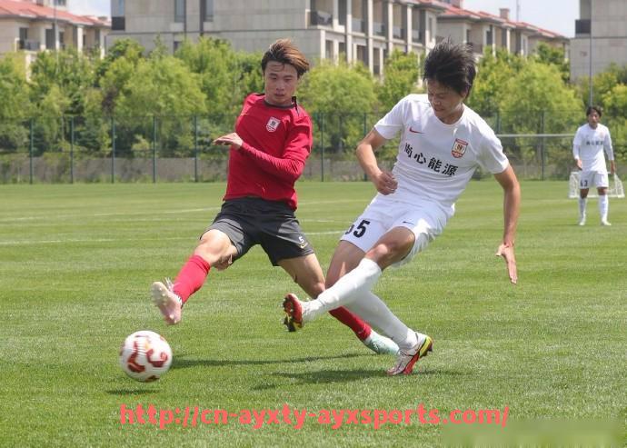 爱游戏体育-德甲球队薪资帽制度及其对球队的影响