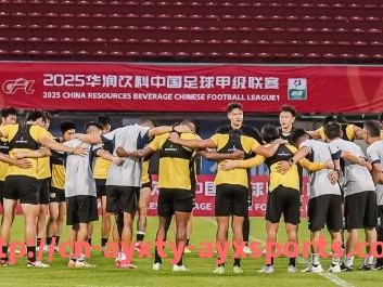 爱游戏体育-莱万多夫斯基成为德甲球队核心球员的历程