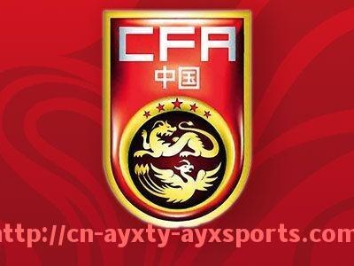 爱游戏体育-德甲足球队徽设计演变及其背后的文化故事